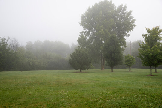 Foggy fall morning in the Midwest country woods