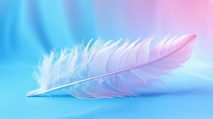 Illustration of a single white feather against a vibrant gradient backdrop