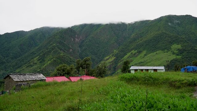 Green Landscape from Ali Bugyal on the way of Bedni Bugyal, Uttarkhand, India.