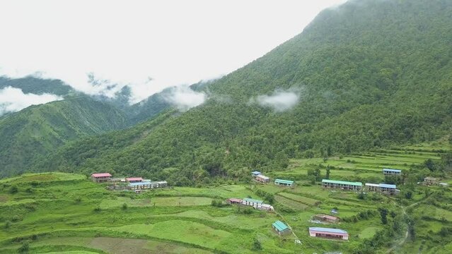Colours of Ali Bugyal (Meadow) on the way of Roopkund trek in Uttarakhand garhwal Himalayas in India,uttarakhand.