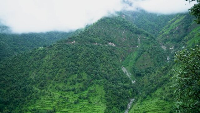 Green Landscape from Ali Bugyal on the way of Bedni Bugyal, Uttarakhand, India.