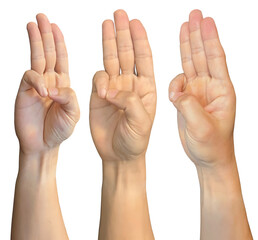 Hand in buddhi mudra spiritual praying pray symbols shape on transparent background cutout, PNG...