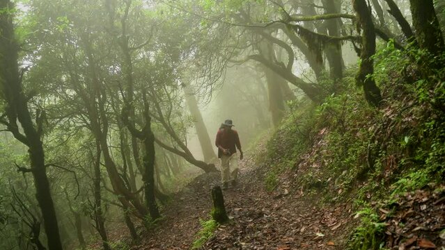 A young man travels through the tropical jungles of Bedni bugyal, uttarakhand, india.