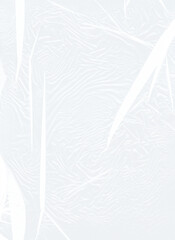 Texture de Plastique Transparent pour Projets Artistiques en .png