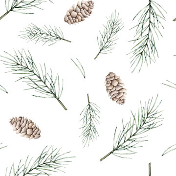 Seamless pattern of pine branch and cones. Botanical elements twig of conifers evergreen tree. Hand drawn watercolor illustration isolated endless image on background for wallpapers, fabric, wrapping