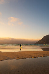 Obraz premium Surfer at sunset on a beach in Lofoten, Norway, under the midnight sun.