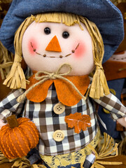 Fall Scarecrow and Pumpkin