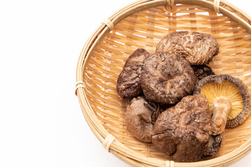 白背景に乾燥椎茸