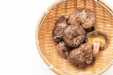 白背景に乾燥椎茸（俯瞰撮影）