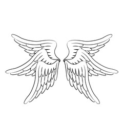 angel wings isolated on white