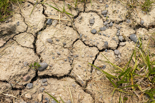 Dry-cracked soil with rocks and grass - photo realistic image - natural light - day time. Taken in Toronto, Canada.