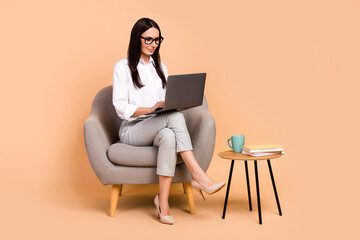 Full body photo of elegant company ceo lady sit cozy chair use netbook networking isolated on beige...
