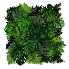 square vertical garden or green wall with tropical green leaves