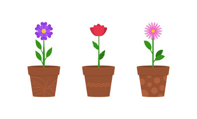 Flowers in clay pots flat vector illustration