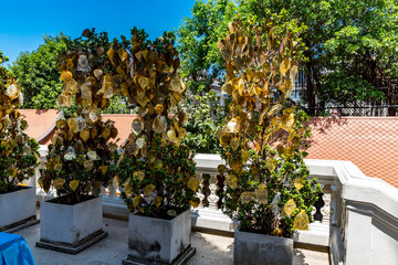 Wunschbaum, Phu Khao Thong , Chedi auf dem Goldenen Berg,  Wat Saket, Tempel des Goldenen Berges, Wat Saket Ratcha Wora Maha Wihan, Bangkok, Thailand, Asien