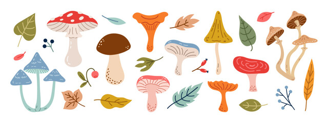 Set hand drawn autumn different mushrooms and plants. Cute wild forest fungus. Autumn stickers. Flat design. Vector illustration.