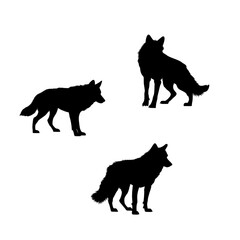 Vector set of wolf illustration. silhouette of wolves isolated on white background. icon sheet of a wolf. icon pack of a black wolf.