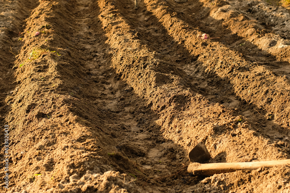 Wall mural loose soil before planting vegetables, agriculture