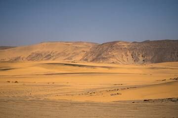 Fototapeta na wymiar view in the Sahara desert of Tadrart rouge tassili najer in Djanet City ,Algeria.colorful orange sand, rocky mountains