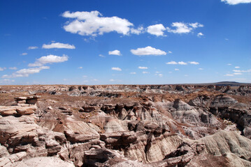 Bizarre rock formations in the badlands of Blue Mesa in Petrified Forest National Park