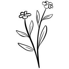 Hand Drawn Leaf Vector Illustration