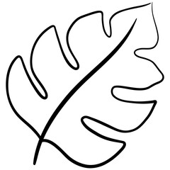 Hand Drawn Leaf Vector Illustration