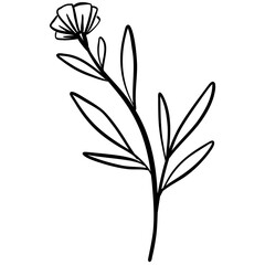 Hand Drawn Leaf Vector Illustration