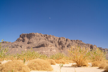 view in the Sahara desert of Tadrart rouge tassili najer in Djanet City  ,Algeria.colorful orange sand, rocky mountains