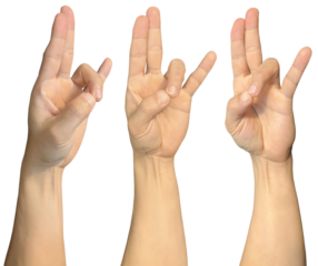 Hand in prithvi mudra spiritual praying pray symbols shape on transparent background cutout, PNG file. Mockup template for artwork design. 3 angle perspective. Sign gestures concept
