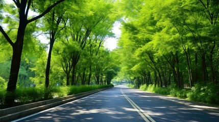 Path way through the autumnal forest natural way, road to the tropical forest field, relaxing with ecological environment, freedom lifestyle concept, Generative AI illustration