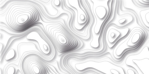 Topographic map background with line map elevation assignments. The black on white contours vector topography stylized height of the lines map.
