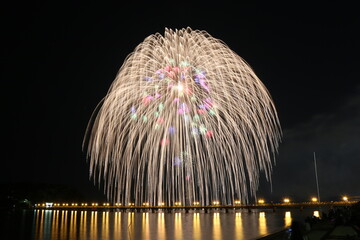 fireworks in the night