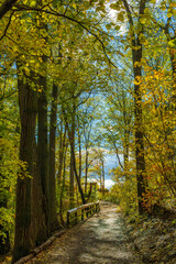 Autumn in Hendrie Valley Sanctuary, Royal Botanical Garden, Burlington, Ontario, Canada