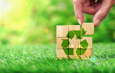 Recycle symbol on wooden dice with grass field on natural background. Conservation concept,...