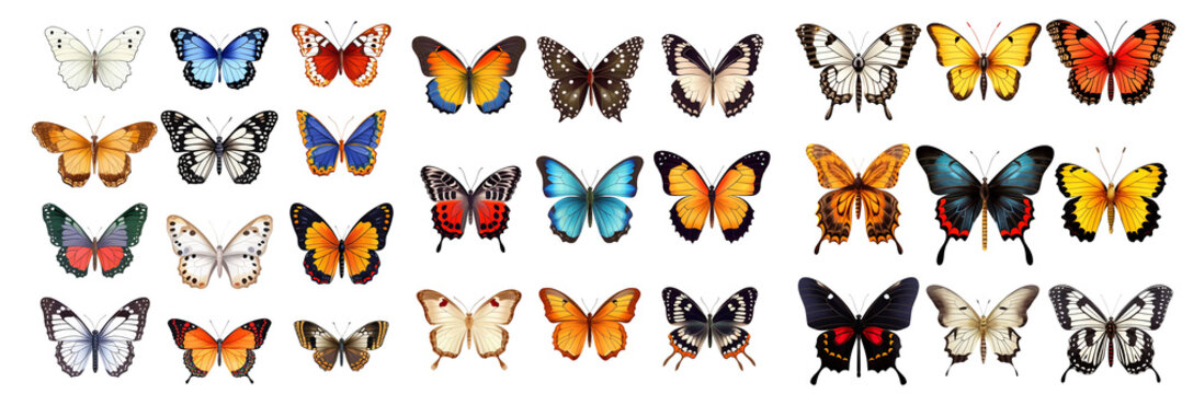 Collection of beautiful colorful butterflies on a transparent background.