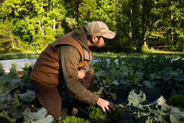 A young farmer hipster stands confidently in a lush green field, exuding a sense of connection to nature and a modern aesthetic. 