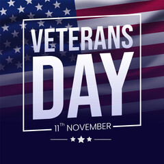 USA Veterans Day greeting card vector template