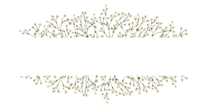 Frame design with watercolor white gypsophila flowers. Botanical flower illustration for postcards, greetings, invitations, banners with white empty space for your text.