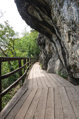 Wooden track