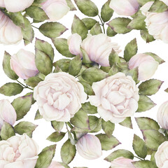 Seamless delicate pattern of watercolor white-pink roses with green leaves on a transparent background. Botanical repeatable floral background for home decor, fabrics,  wallpapers, wrapping paper
