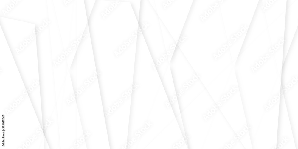 Wall mural abstract white and gray square technology lines background.white paper triangles as energy mess abst