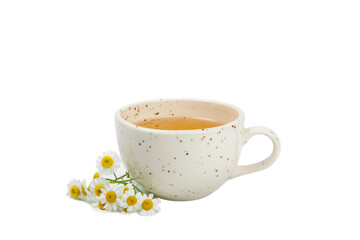 Delicious tonic, soothing and relaxing chamomile tea with chamomile flowers isolated on white background. Herb tea.