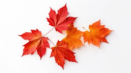 autumn maple leaf. Generative AI