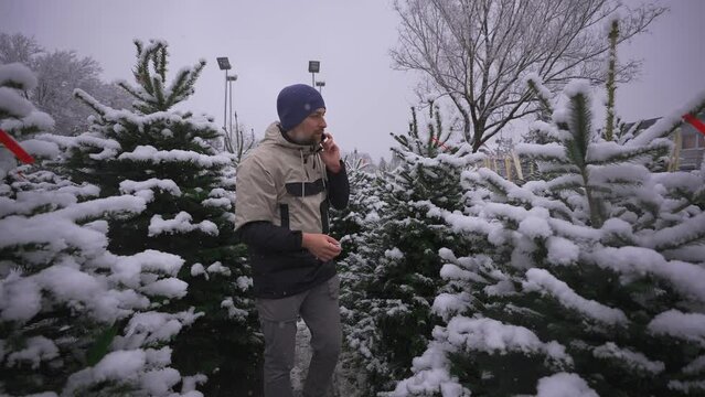Dad buys Christmas tree and talking on phone. Shopping in market area. Holiday village market. Christmas shopping, preparing for celebration. Man advises family on phone about selecting Christmas tree