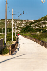 Path on natural reserve