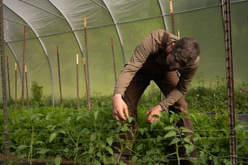 A young farmer hipster stands confidently in a lush greenhouse, exuding a sense of connection to...