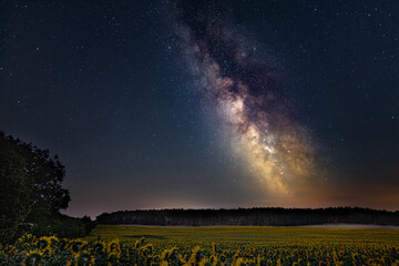 Milchstraße über Sonnenblumenfeld