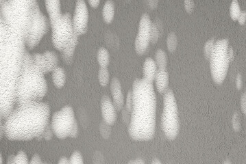 Blank concrete neutral beige wall with aesthetic abstract foliage sunlight shadow. Elegant...