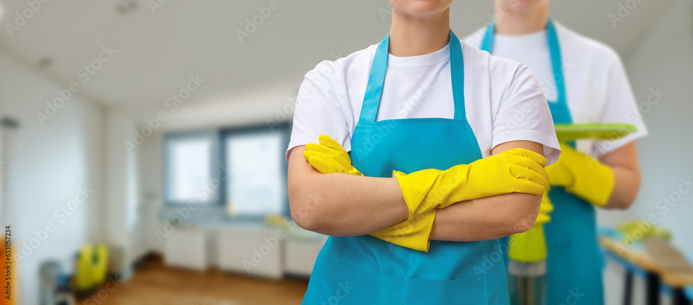 Wall mural Cleaners stand in a group against the background of the apartment .