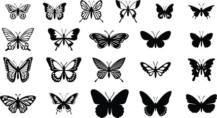 Collection of Butterfly Silhouettes, Vector Illustration - 633057476